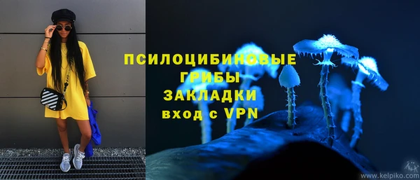 ECSTASY Козельск