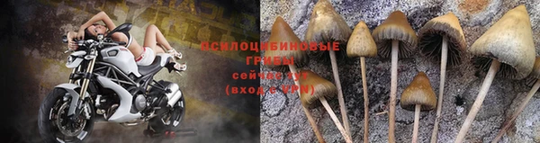 бошки Кодинск