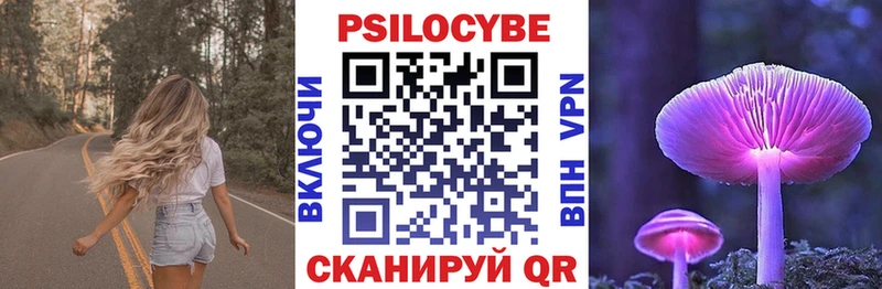 Купить где  Пустошка  Псилоцибиновые грибы GOLDEN TEACHER 